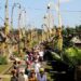 Pesta Wirausaha Digelar Di Bali