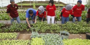 Dorong Generasi Muda Kuasai Pertanian Organik, Deutsche Bank dan The Learning Farm Jalin Kerjasama