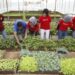 Dorong Generasi Muda Kuasai Pertanian Organik, Deutsche Bank dan The Learning Farm Jalin Kerjasama