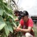 Kelompok Tani BKB Petamburan, Sulap Lahan Kosong Menjadi Lahan Pertanian