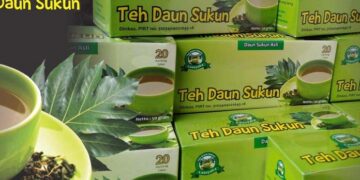 Daun Sukun Jadi Teh Obat Ginjal