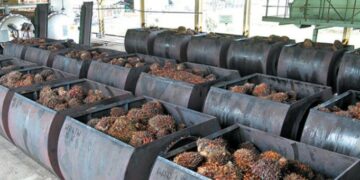 Universitas Jambi Ciptakan Bahan Bakar Dari Limbah Sawit