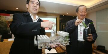 Material Tanam Baru Ini Bisa Tingkatkan Produksi Kelapa Sawit