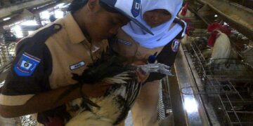 Charoen Bantu Riset Mahasiswa di 4 PTN
