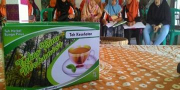 Teh Herbal Bunga Pinus Inovasi UM Magelang