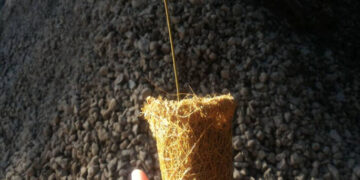 Polytube Bagormaling, Wadah Semai Ramah Lingkungan