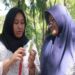 Hezer, Pembasmi Bakteri Toilet dari Daun Sirih