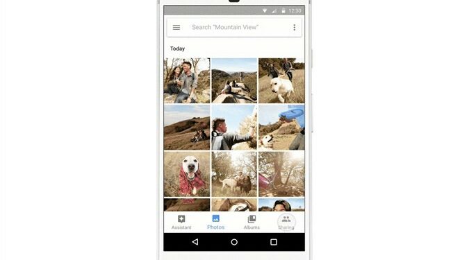 Fitur Suggested Sharing di Google Photos Masuk Indonesia