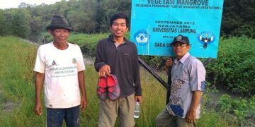 Unila & Universitas Saga Jepang Berkolaborasi Menjaga Ekosistem Mangrove