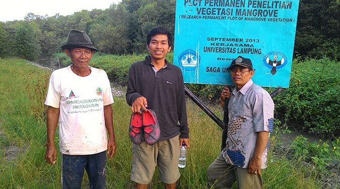 Unila & Universitas Saga Jepang Berkolaborasi Menjaga Ekosistem Mangrove