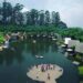 Wisata