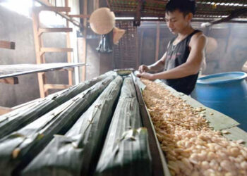 Minuman Tempe untuk Penderita Hipertensi