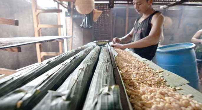 Minuman Tempe untuk Penderita Hipertensi
