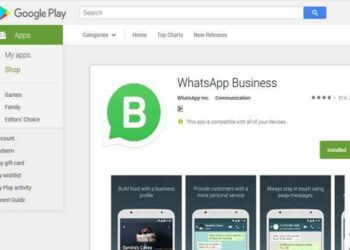 Whatsapp Business Search