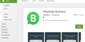 Whatsapp Business Search
