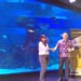 Kini Tersedia Ruang Kerja Dengan Suasana Bawah Laut