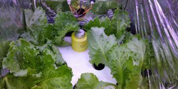 Autogrow, Alat Pengatur Iklim dari ITB