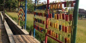 Vertical Garden Solusi Taman di Lahan Sempit