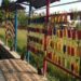 Vertical Garden Solusi Taman di Lahan Sempit