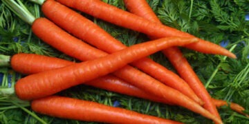 GODECT, Minyak Kaya Vitamin A dari Limbah Wortel