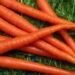 GODECT, Minyak Kaya Vitamin A dari Limbah Wortel