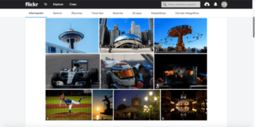 Flickr Batasi Pengguna Gratis Hanya 1.000 Foto dan Video