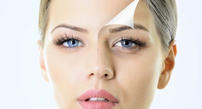 Biji Salak Ternyata Bisa Untuk Antiaging