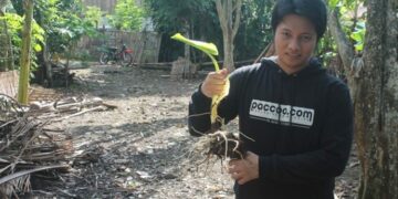 Zulfikri Al Qowy : Angkat Ekonomi Petani Dengan Bisnis Cookies Talas