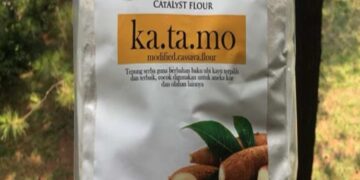 Mocaf Tepung Terigu Yang Aman Bagi Penderita Diabetes