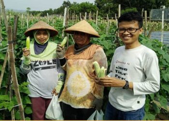 Tanipanen.id Aplikasi Marketplace Untuk Hasil Panen Rusak dan Berlebih