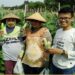Tanipanen.id Aplikasi Marketplace Untuk Hasil Panen Rusak dan Berlebih