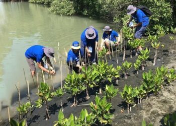 3M Indonesia Dukung Pemberdayaan Budidaya Perairan Berkelanjutan