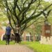 UPH Raih Peringkat 23 Nasional di Ranking UI GreenMetric 2018