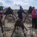 IPB dan UTU Kembangkan Rumpon Biodegradable Untuk Nelayan Aceh