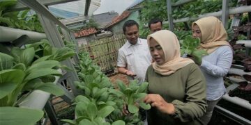 Kebun Hidroponik Jadi Pemberdayaan Ekonomi di Kawasan Industri