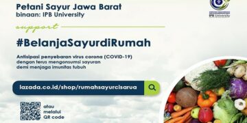 2.500 Petani Dapat Akses Jual Hasil Panen di Lazada