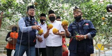 Dorong Pengembangan Koperasi Untuk Antisipasi Krisis Pangan