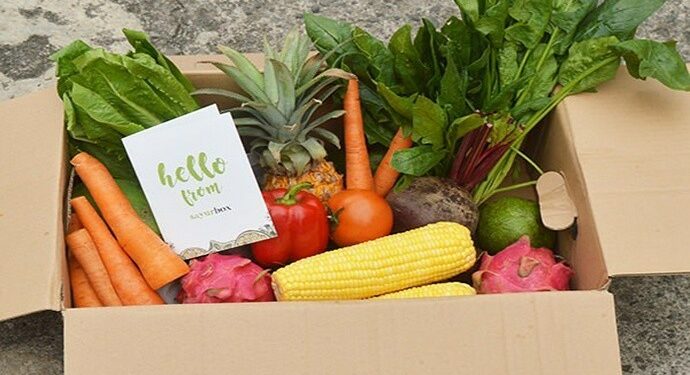 Sayurbox Hadir di Shoppe Untuk Penuhi Kebutuhan Harian Masyarakat