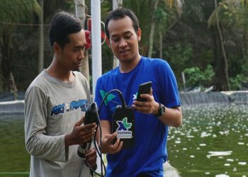 XL Bangun Solusi IoT untuk Tingkatkan Kualitas Budidaya Ikan Dan Udang