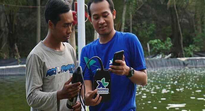 XL Bangun Solusi IoT untuk Tingkatkan Kualitas Budidaya Ikan Dan Udang