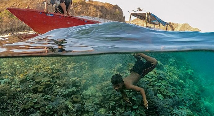 laut