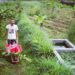 Urban Farming Bisa Menjadi Solusi Pertanian yang Berkelanjutan
