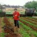 Nur Agis Aulia : Petani Milenial Yang Optimalkan Potensi Agroindustri di Desa