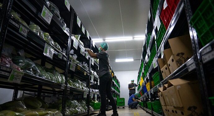 Pengguna Aplikasi TaniHub Lebih dari 200 Ribu