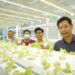 Startup Urban Farming Tunas Farm Beroleh Pendanaan Awal