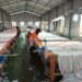 Investree dan Wif Salurkan Pembiayaan Untuk Pengusaha Wanita