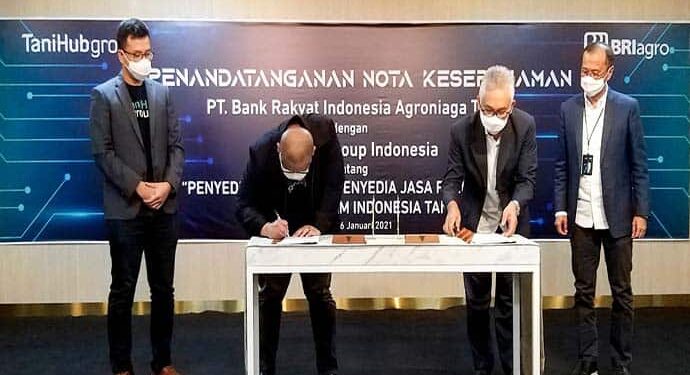 Tingkatkan Kesejahteraan Petani, TaniHub Group Berkolaborasi dengan BRI Agro
