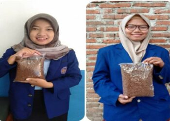 Inovasi Pakan Lele Alami dari Bahan Alami