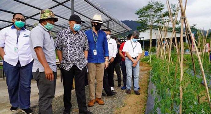 Smesco Hadirkan Innovator Bisnis Berbasis Tanaman Di Kampus Kebun Loka Hejo