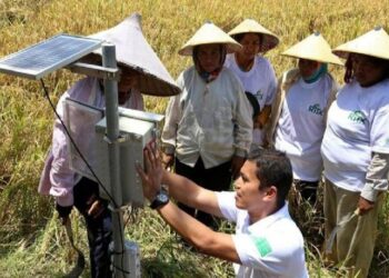 smart farming